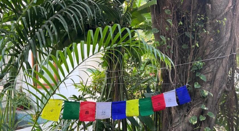 Hotel Club Denovo à Butwal Extérieur photo