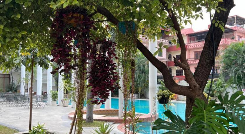 Hotel Club Denovo à Butwal Extérieur photo