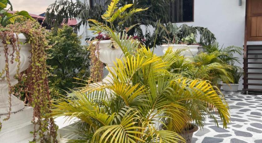 Hotel Club Denovo à Butwal Extérieur photo